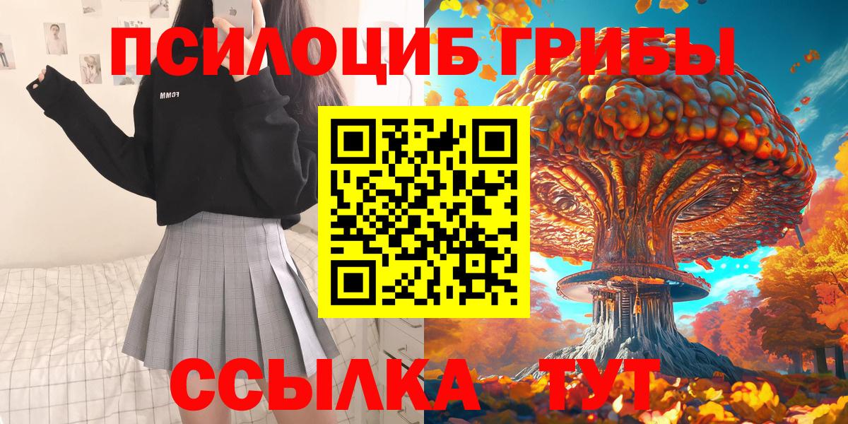 Псилоцибиновые грибы Cubensis Киров