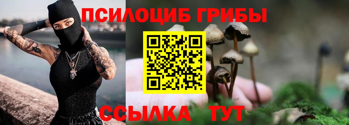 Киров  Галлюциногенные грибы Psilocybe  Вход с VPN 
